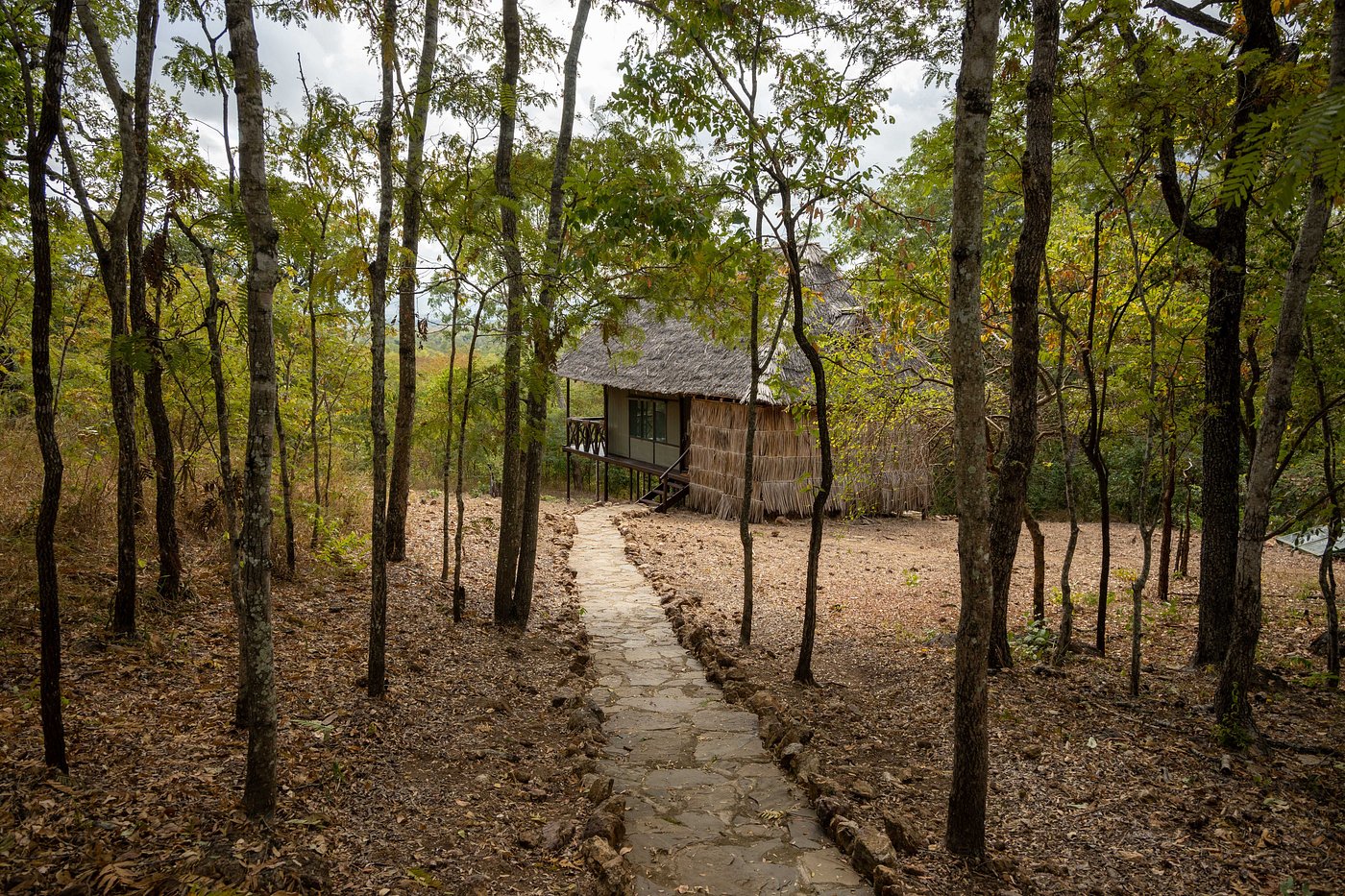 Sable Mountain Lodge image 1