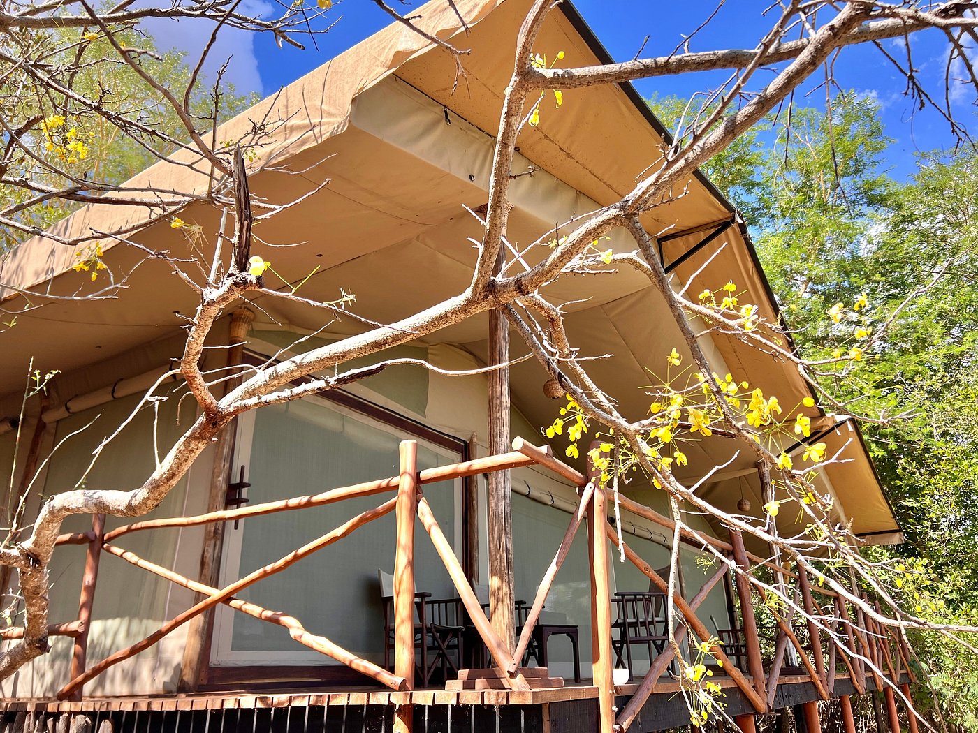 Selous Impala Camp