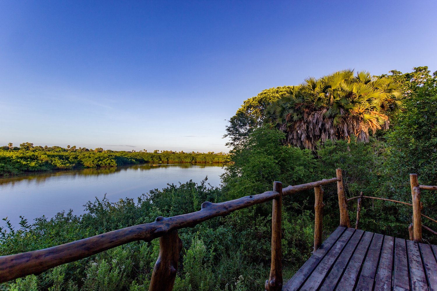 Selous Impala Camp image 3