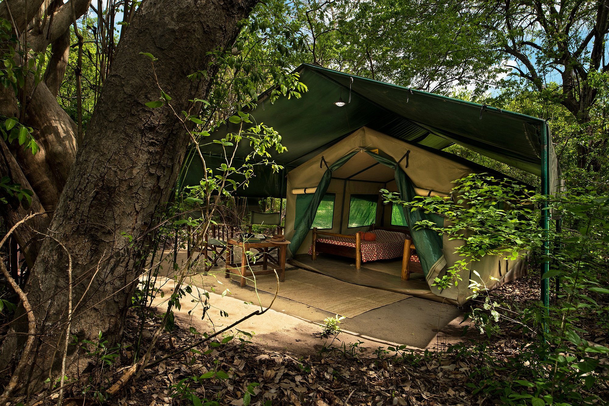 Selous River Camp image 3