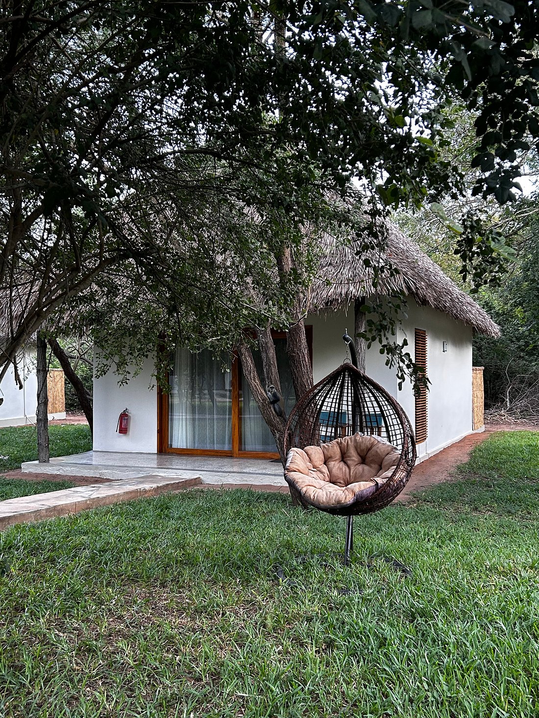 Selous Safari Camp image 3