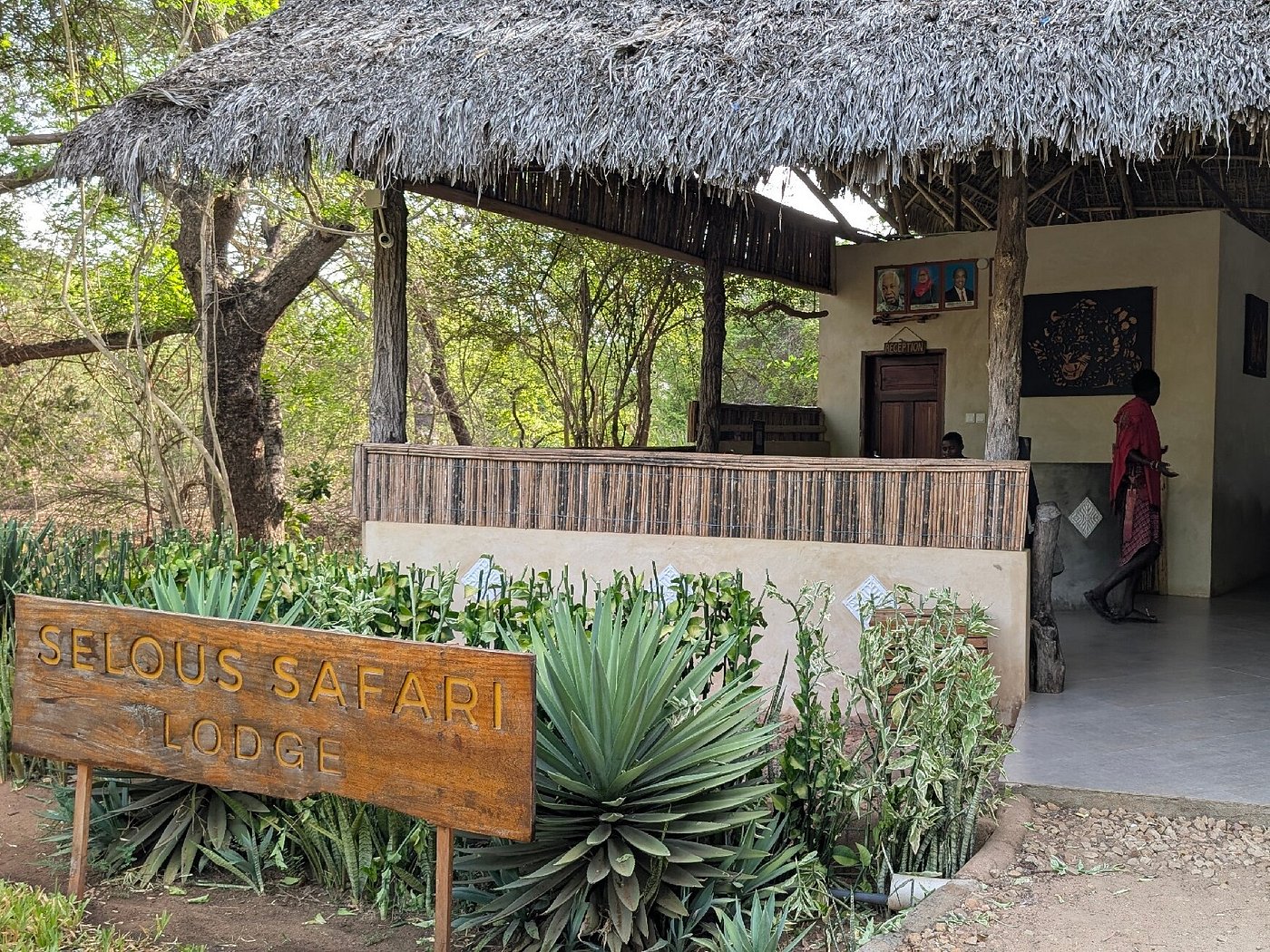 Selous Safari Camp image 1