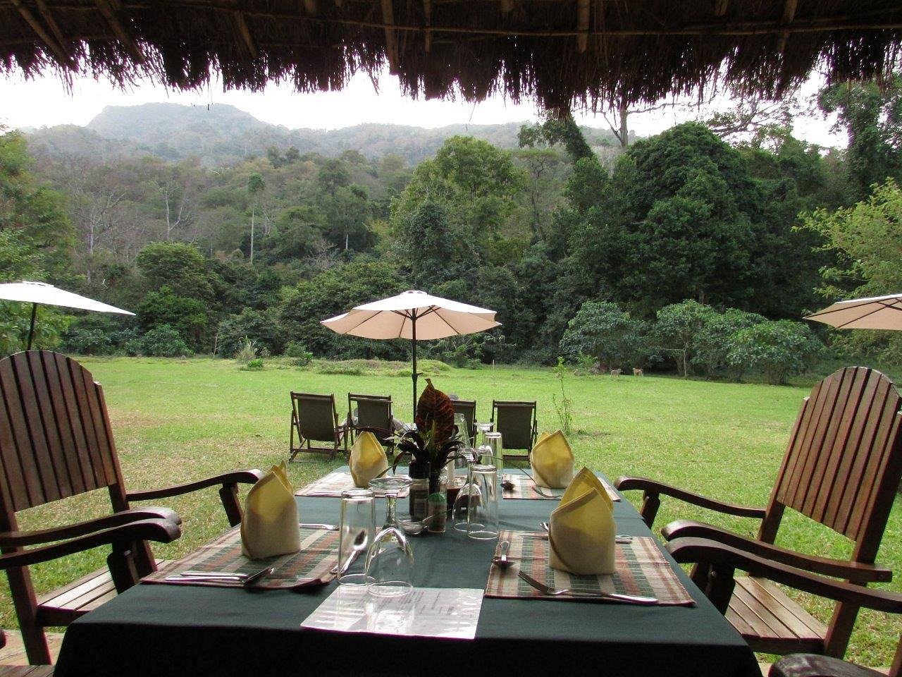 Udzungwa Forest Lodge - Hondo Hondo image 2