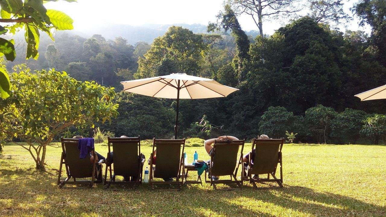 Udzungwa Forest Lodge - Hondo Hondo image 1