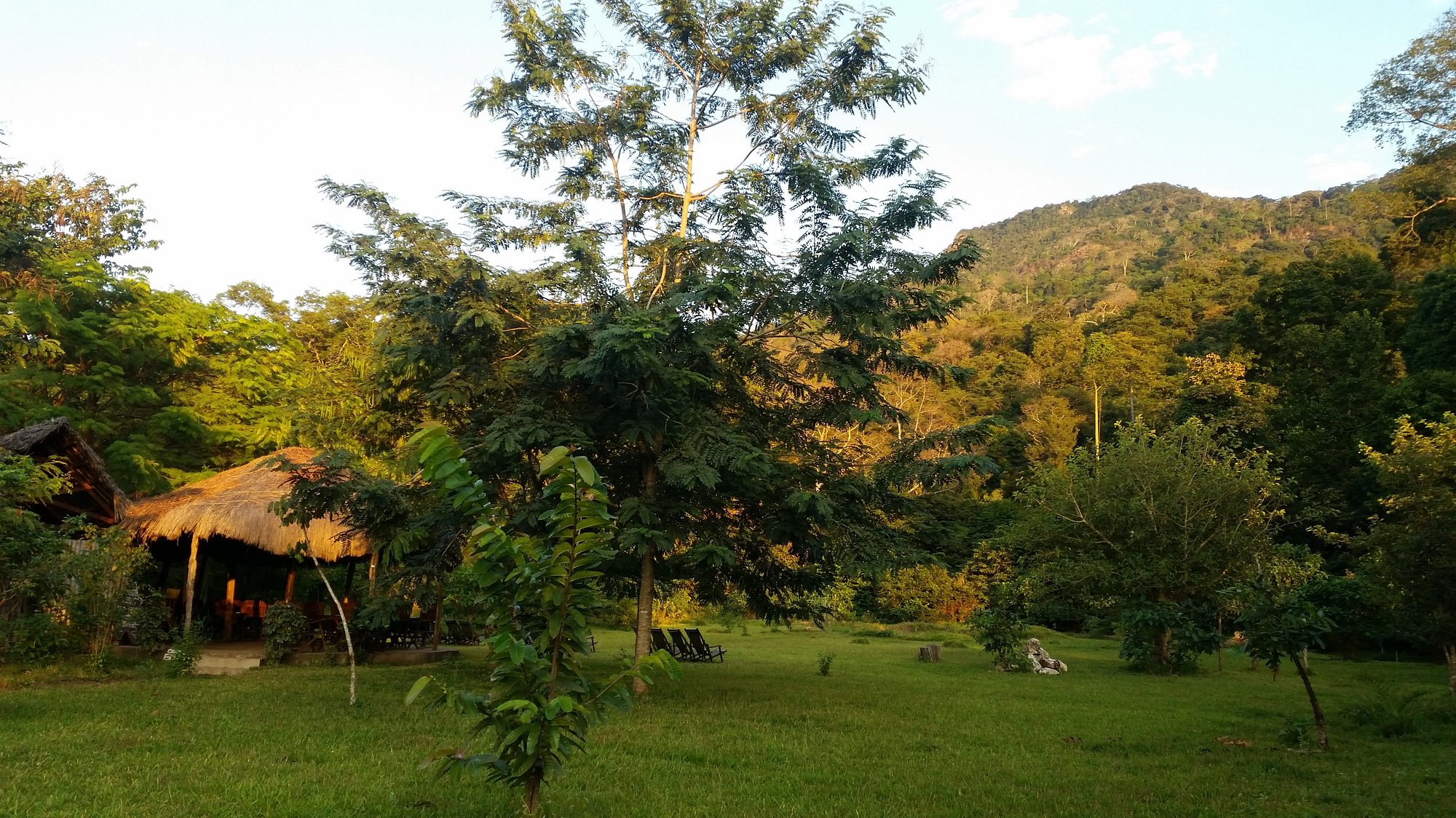 Udzungwa Forest Lodge - Hondo Hondo