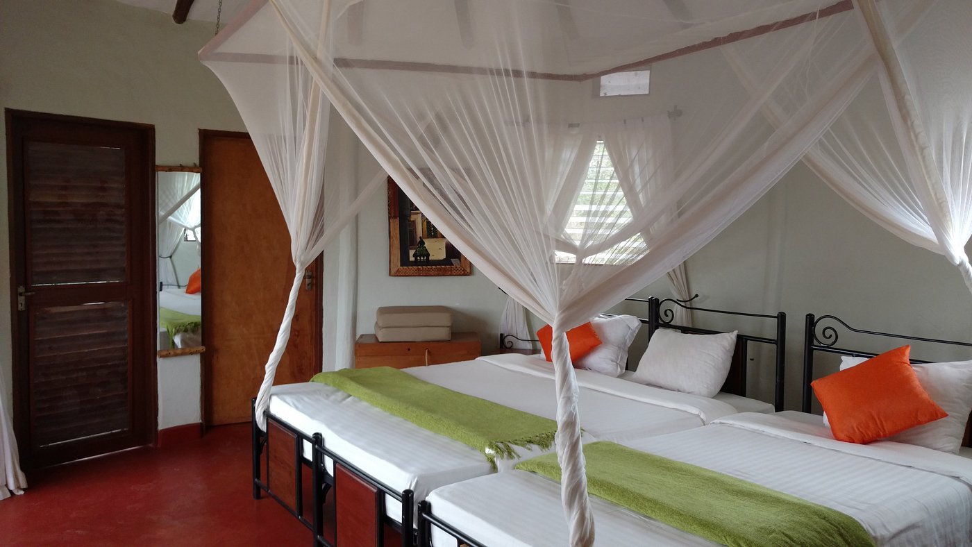 Tarangire Osopuko Lodge image 2