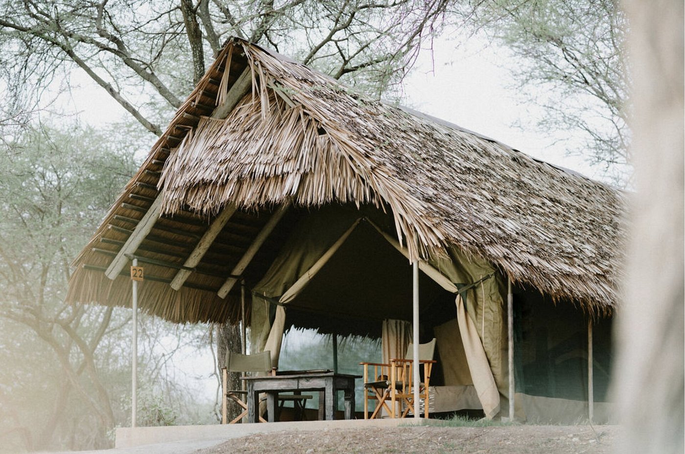 Tarangire Safari Lodge image 2