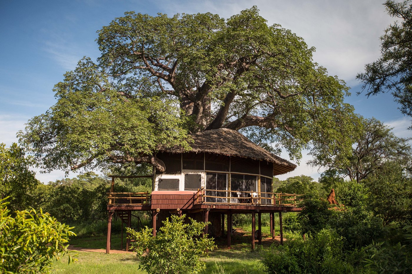 Elewana Tarangire Treetops image 2