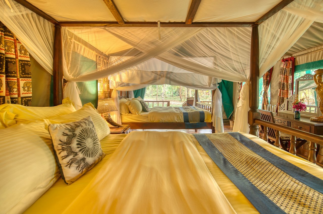 Mbali Mbali Gombe Lodge image 1