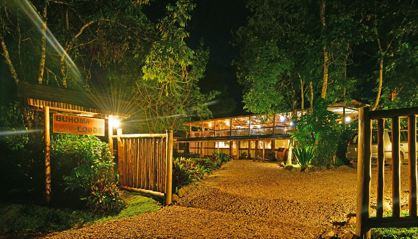 Buhoma Lodge
