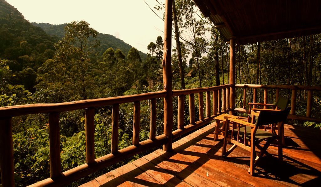 The Gorilla Resort image 1