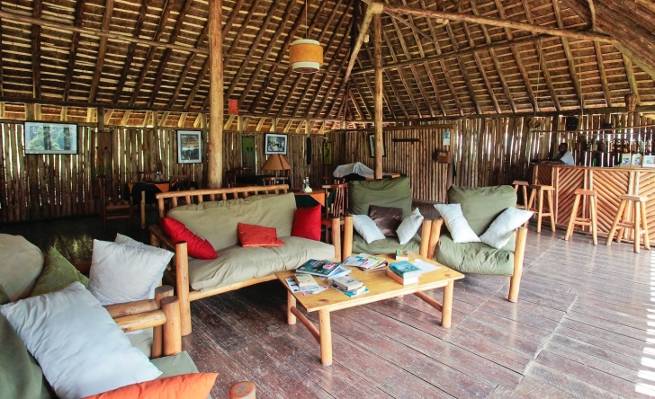 The Gorilla Resort image 3