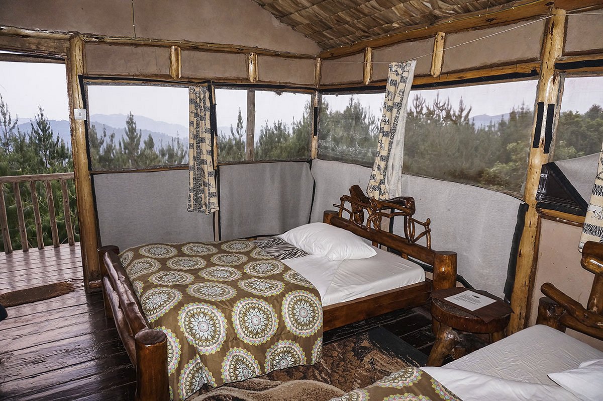 Gorilla Mist Camp image 3
