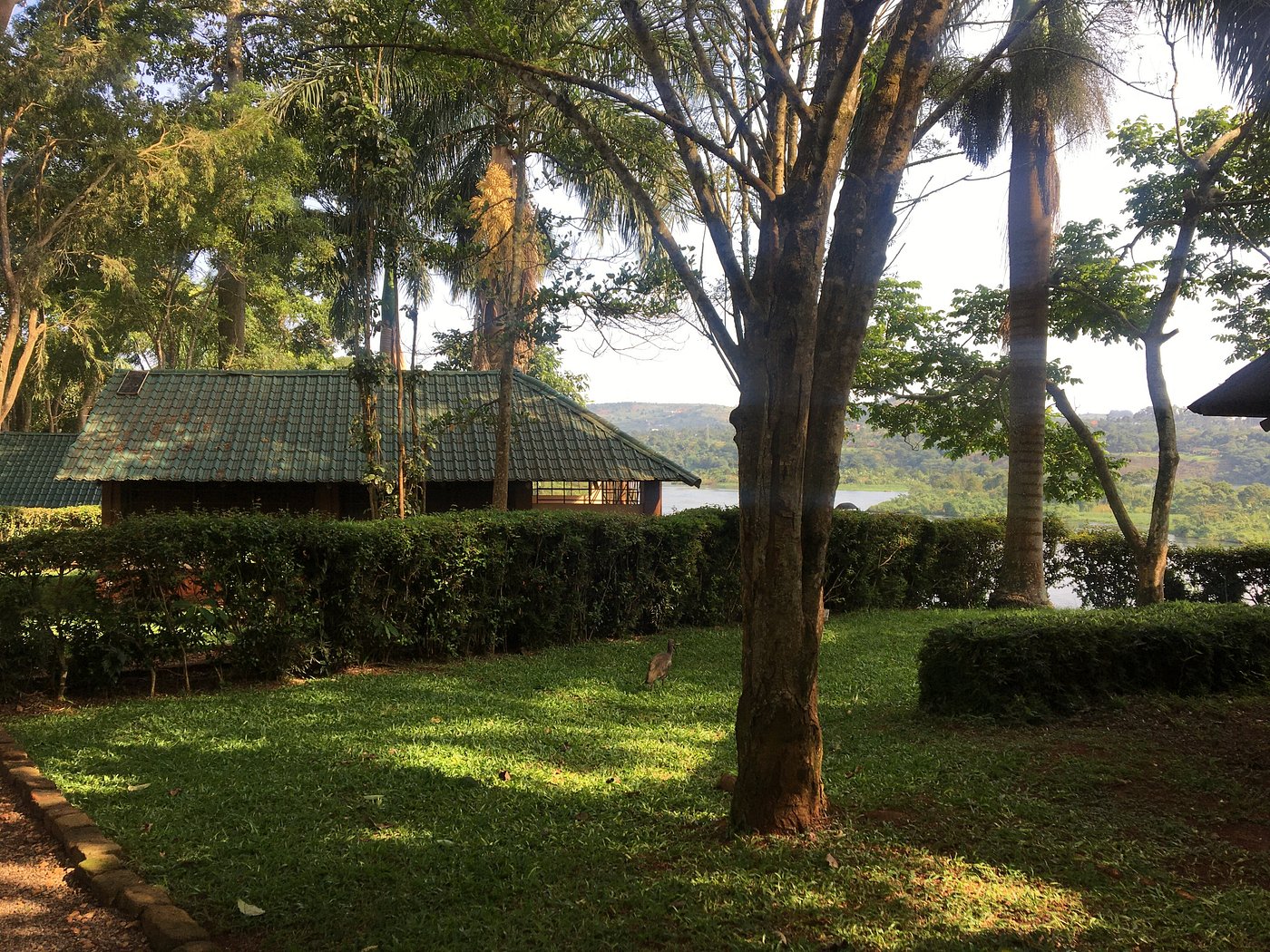The Nile Porch