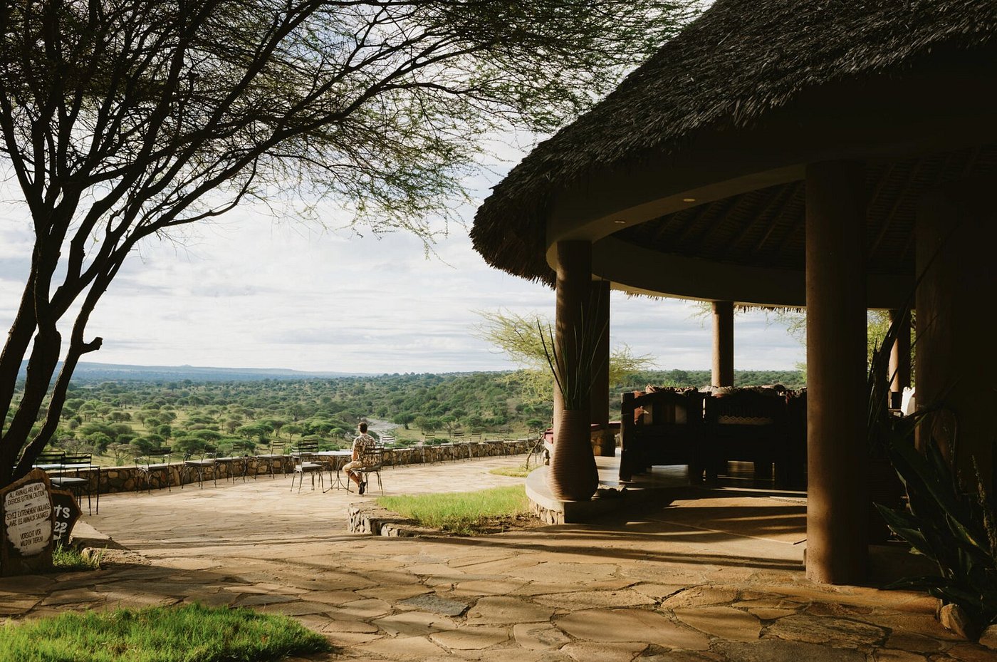 Why African Safaris Are the Ultimate Luxury Travel Experience