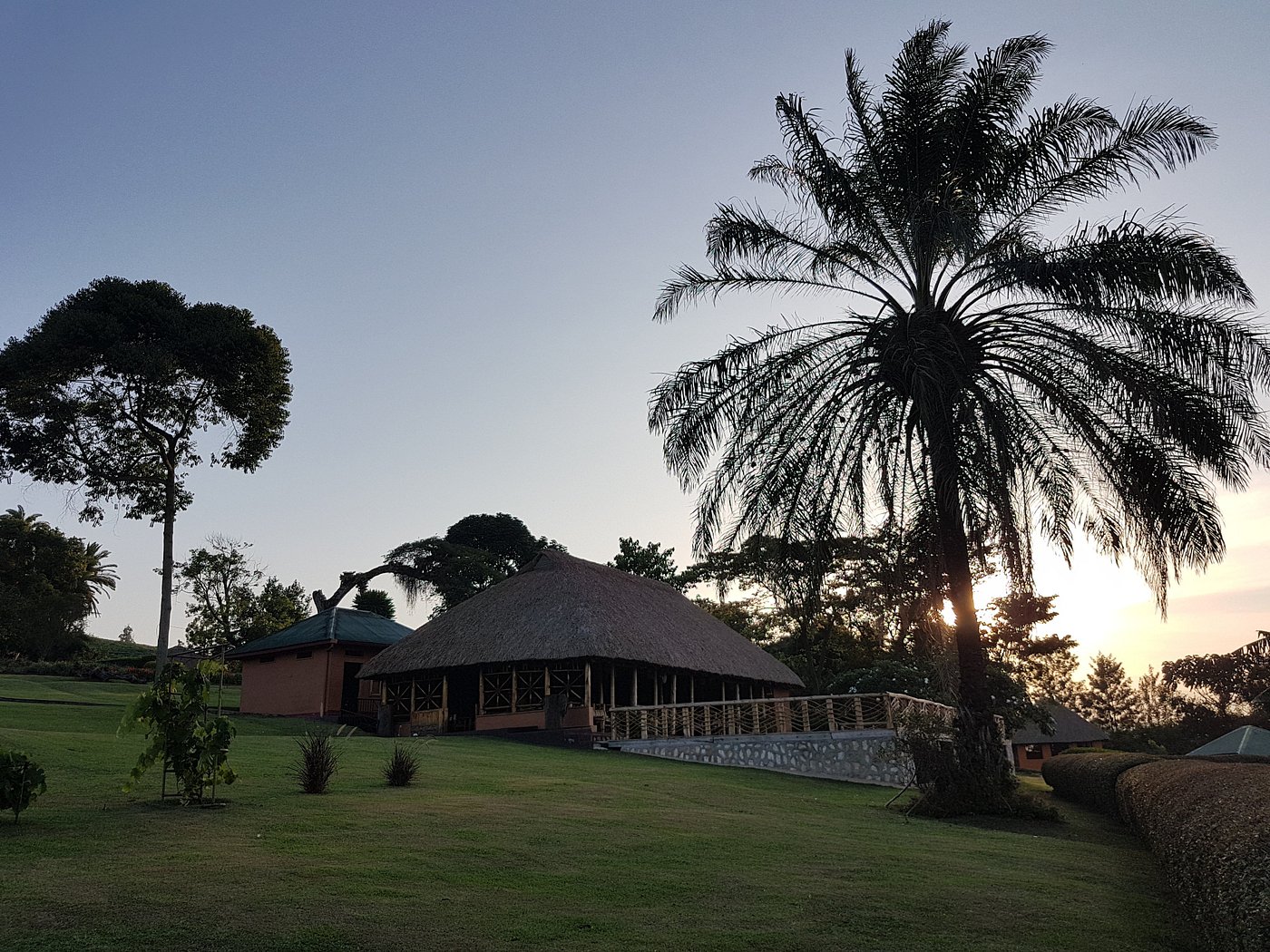 Chimpanzee Forest Lodge image 3