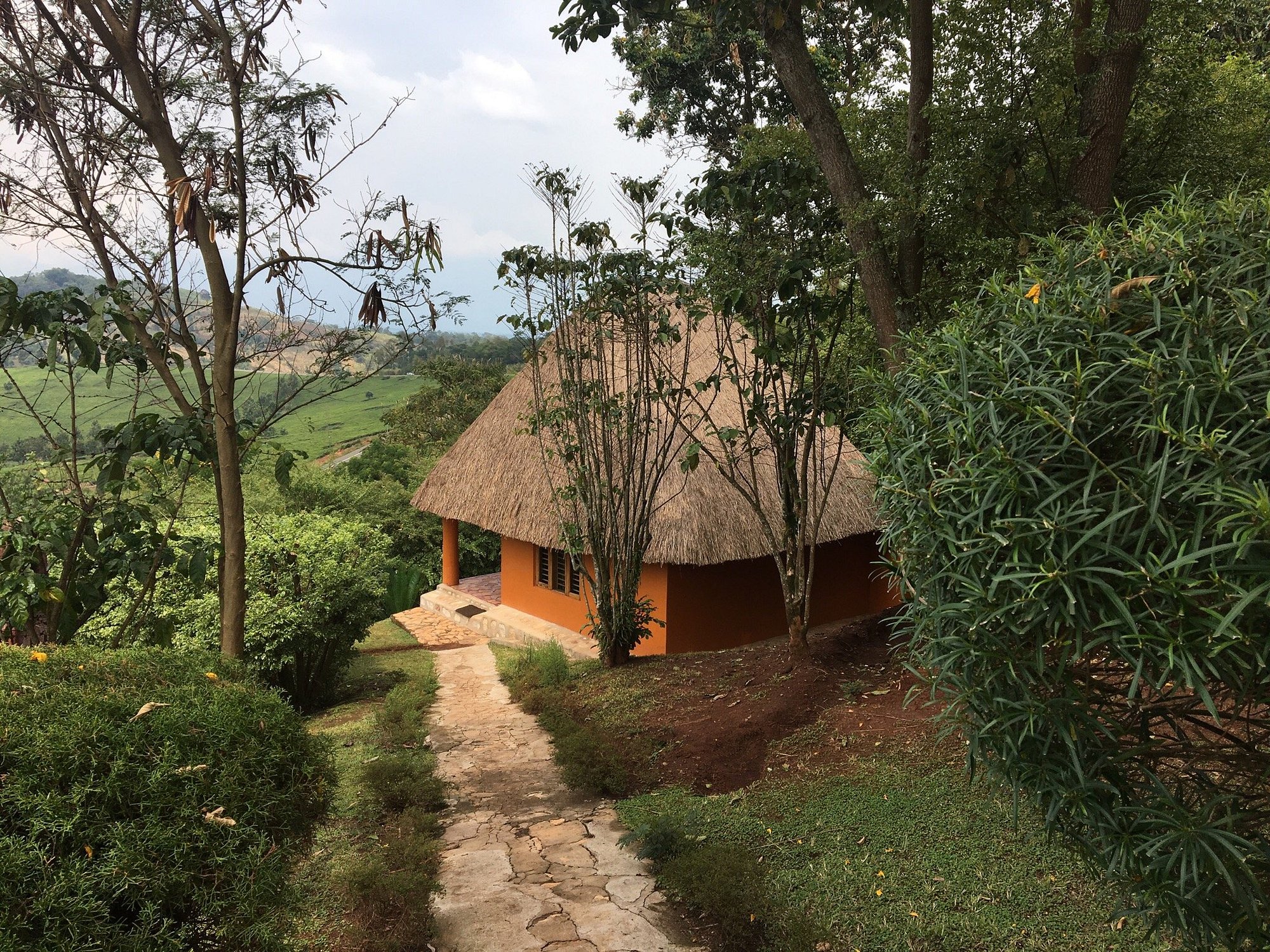 Chimpanzee Forest Lodge image 1