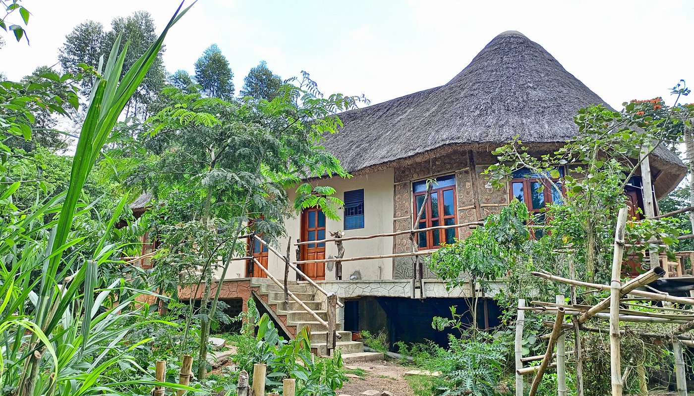 Chimpanzee Capital Safari Lodge image 1