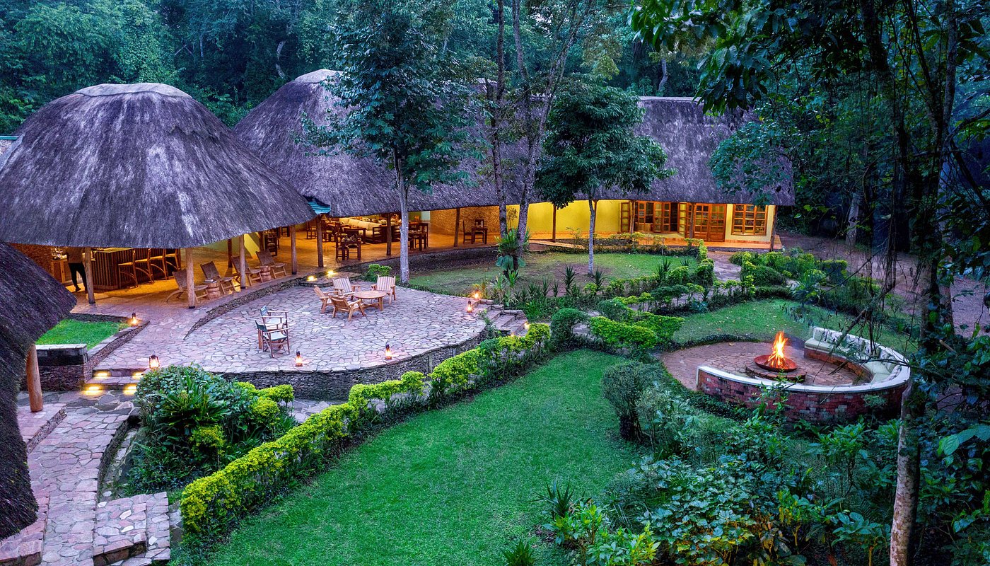 Primate Lodge