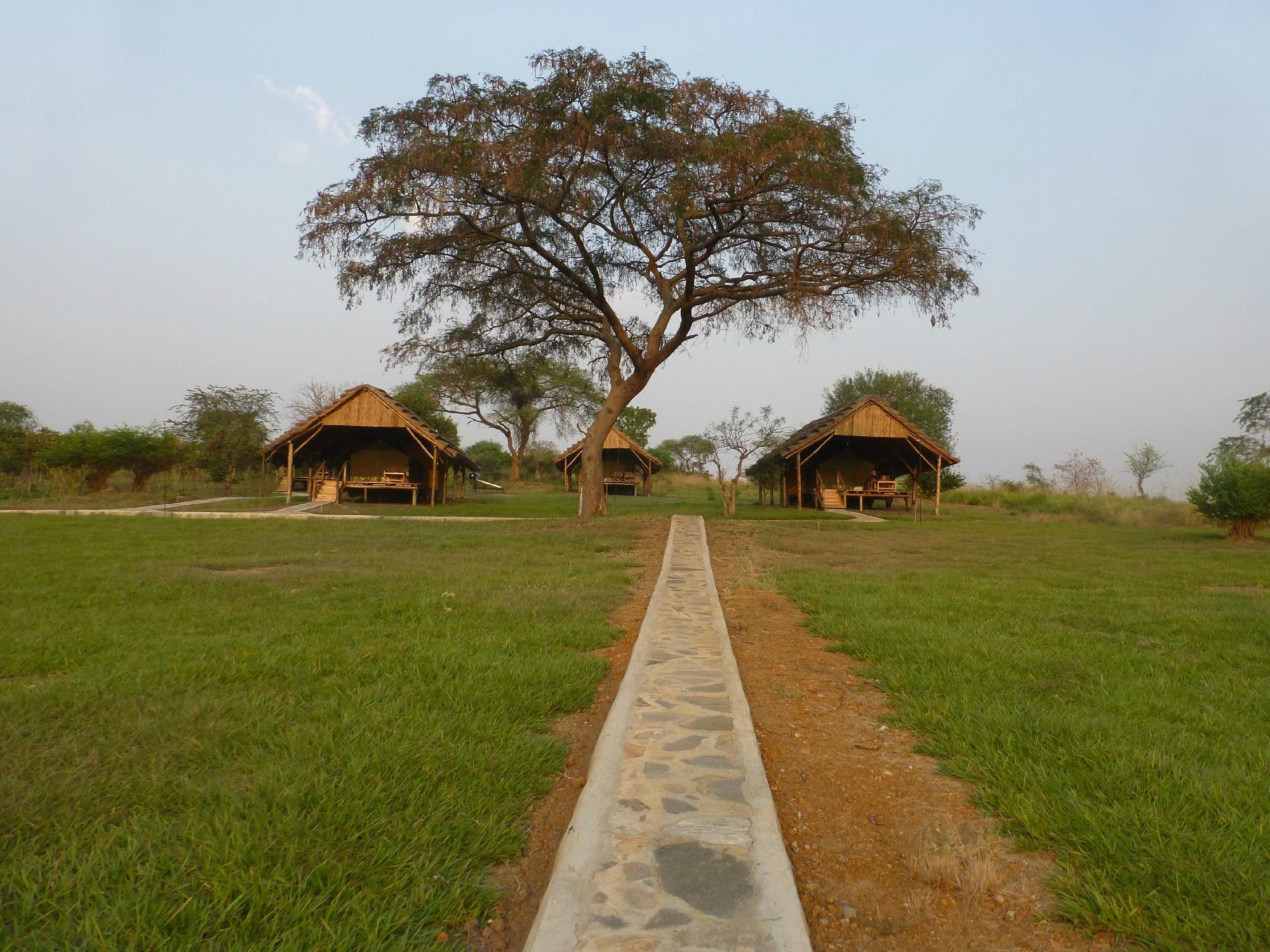 Bwana Tembo Safari Camp image 2