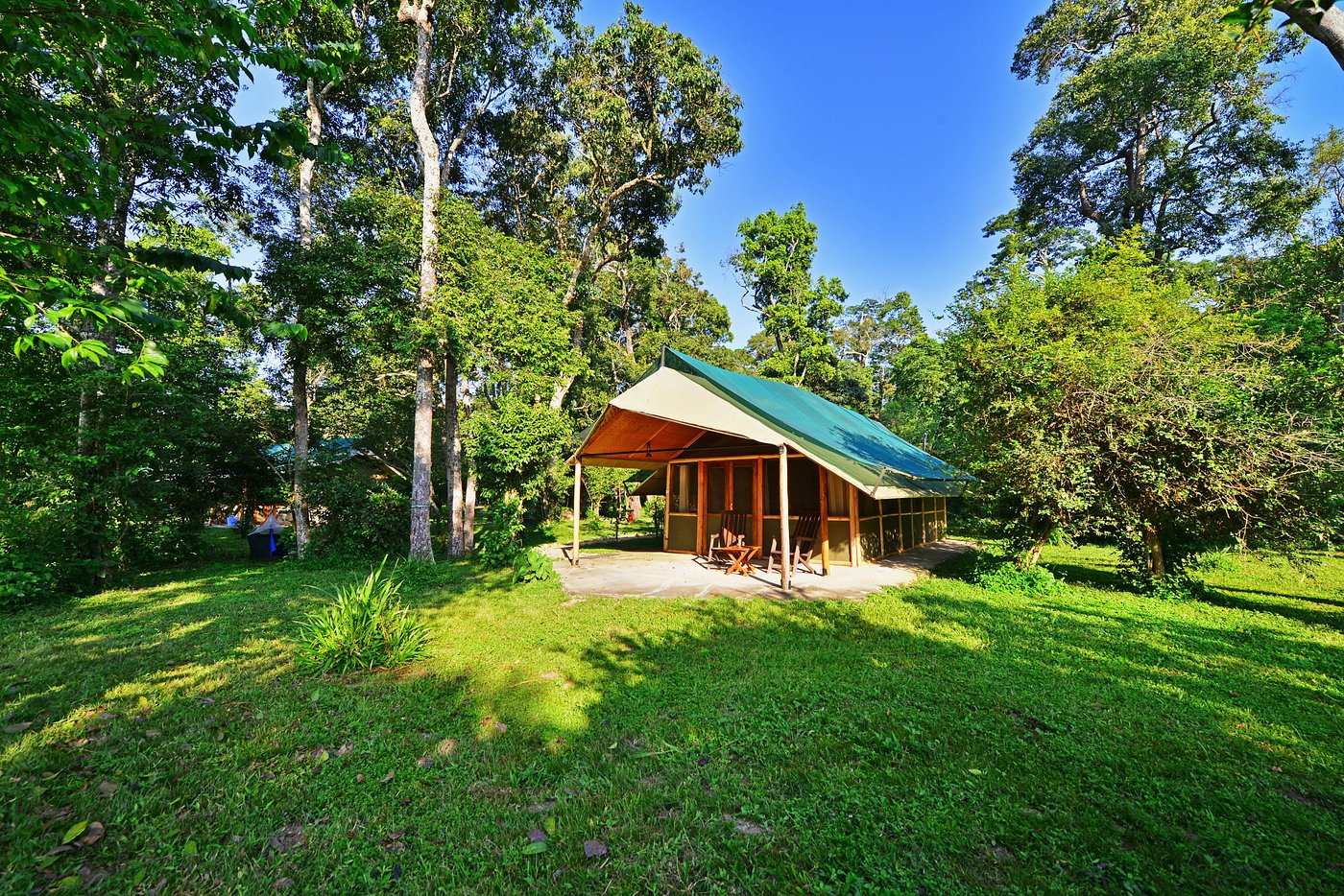 Ishasha Wilderness Camp image 2