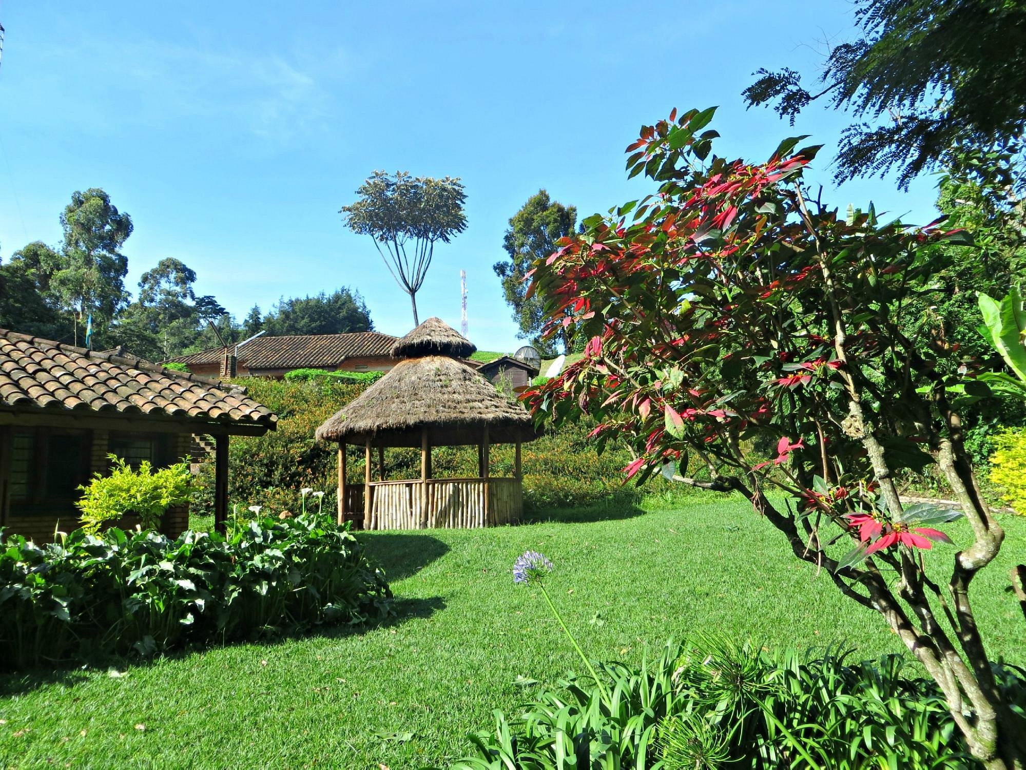 Gisakura Guest House image 3