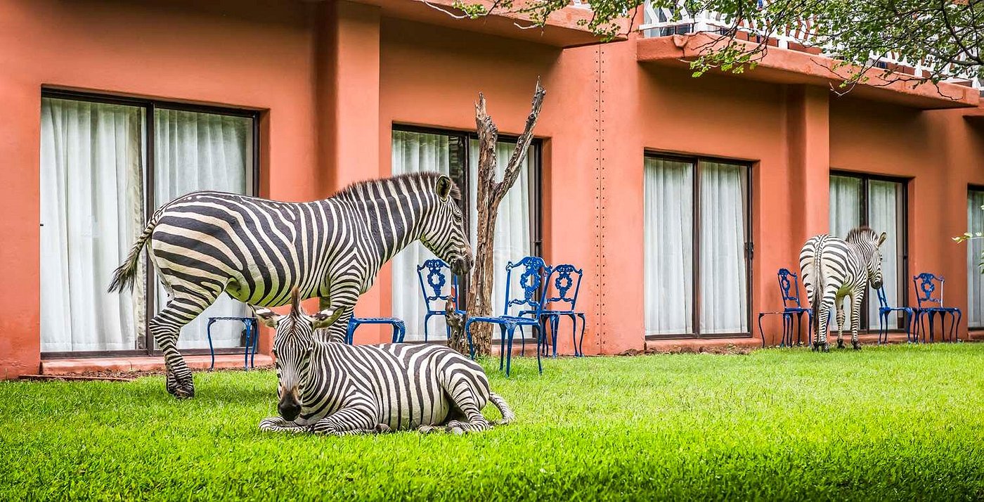 AVANI Victoria Falls Resort image 3