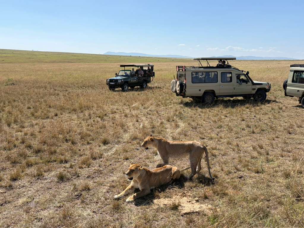 6 Days Kenya Honeymoon Safari photo 3
