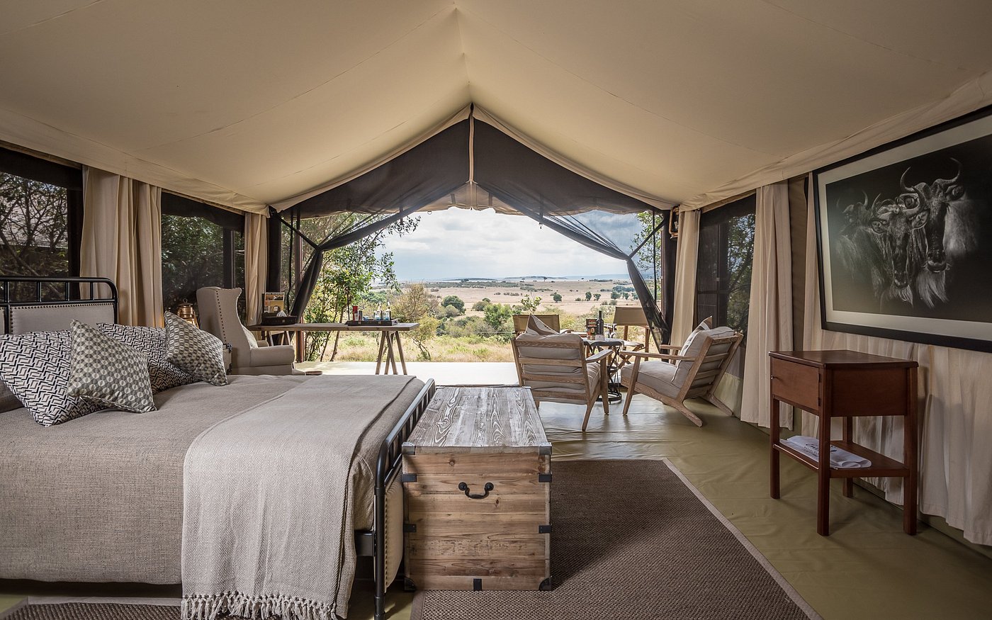 Entim Camp image 1