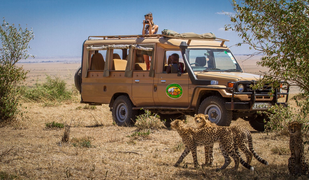 Mara Leisure Camp image 2