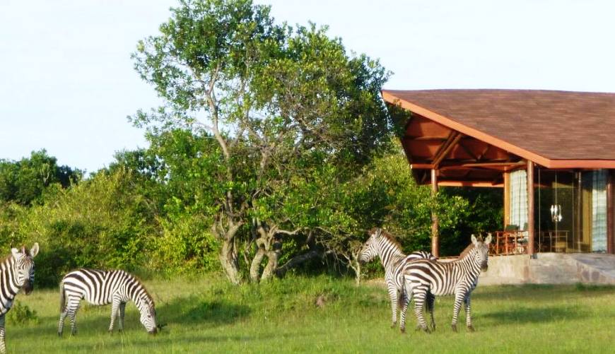 Mara Simba Lodge