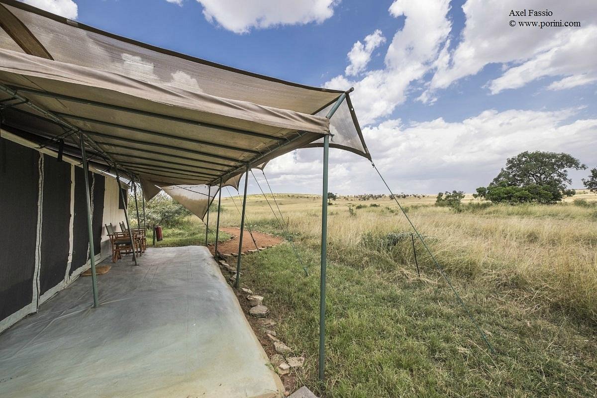 Porini Lion Camp