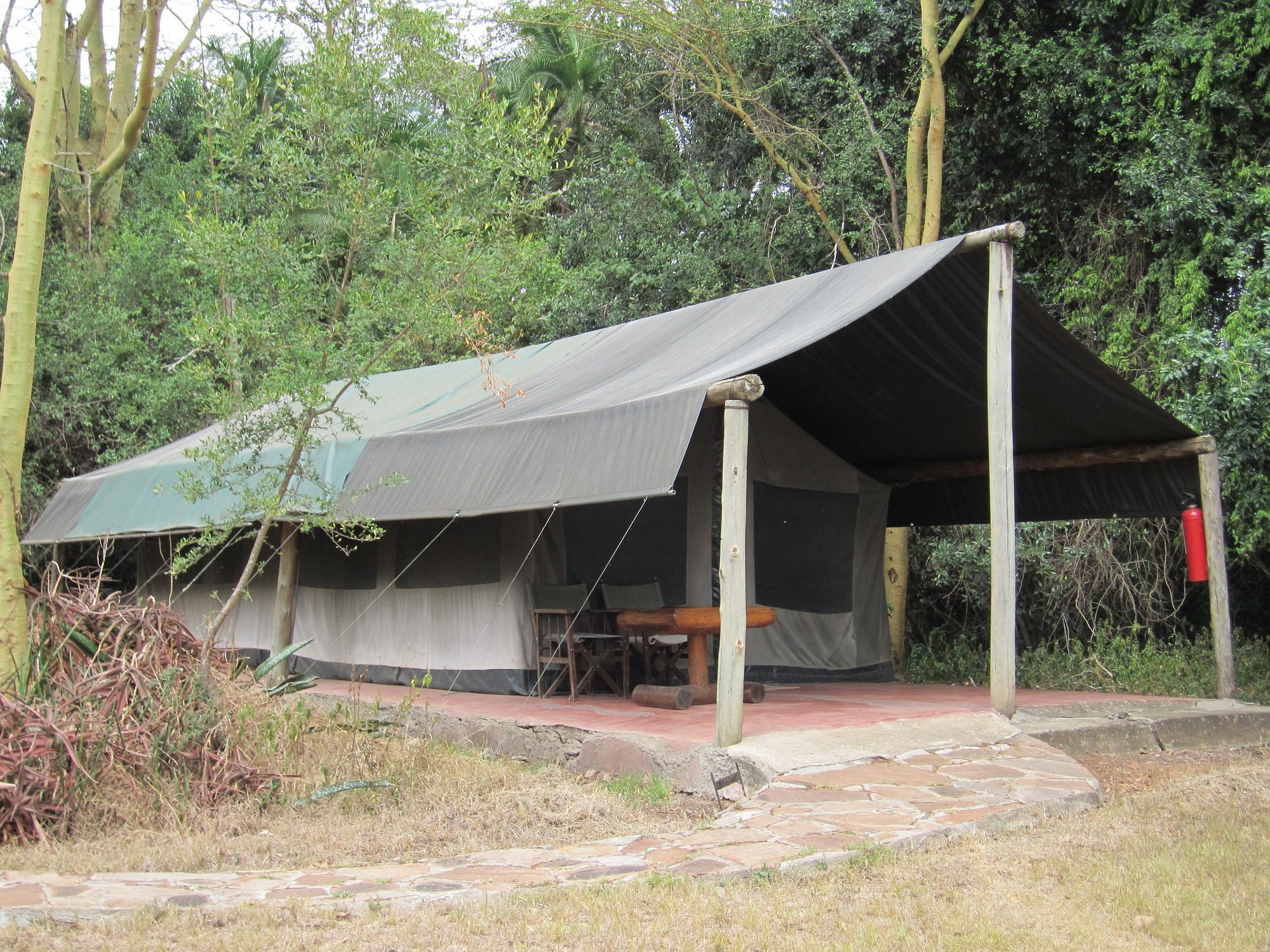 Siana Springs Tented Camp image 3