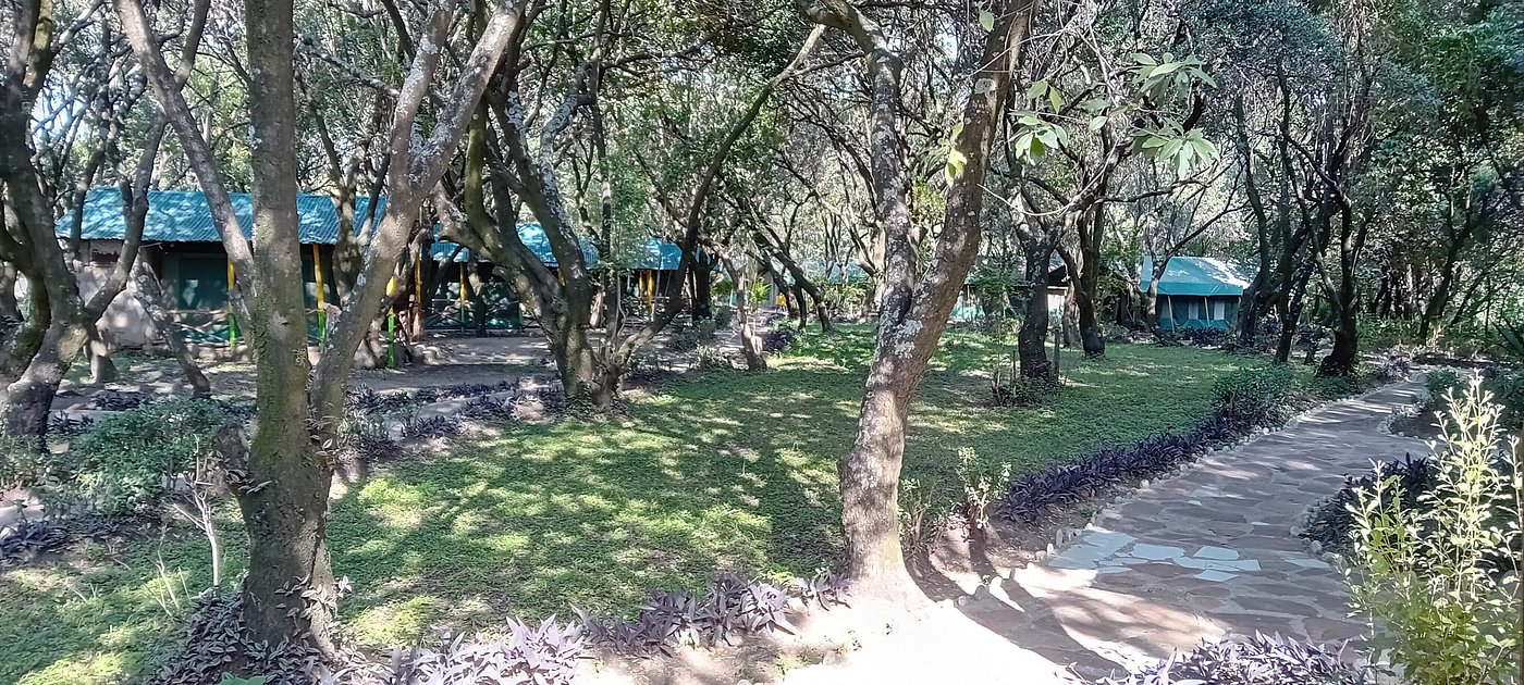 Olailepo Mara Camp image 1