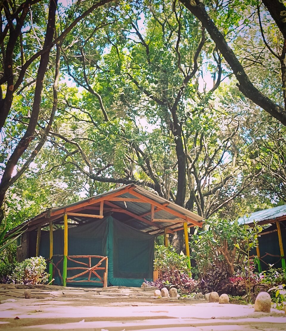 Olailepo Mara Camp image 3