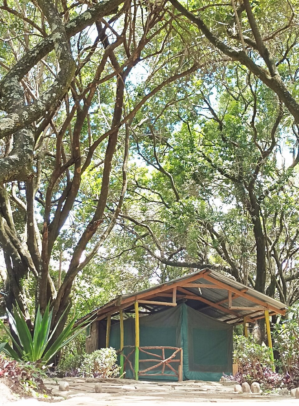 Olailepo Mara Camp image 2