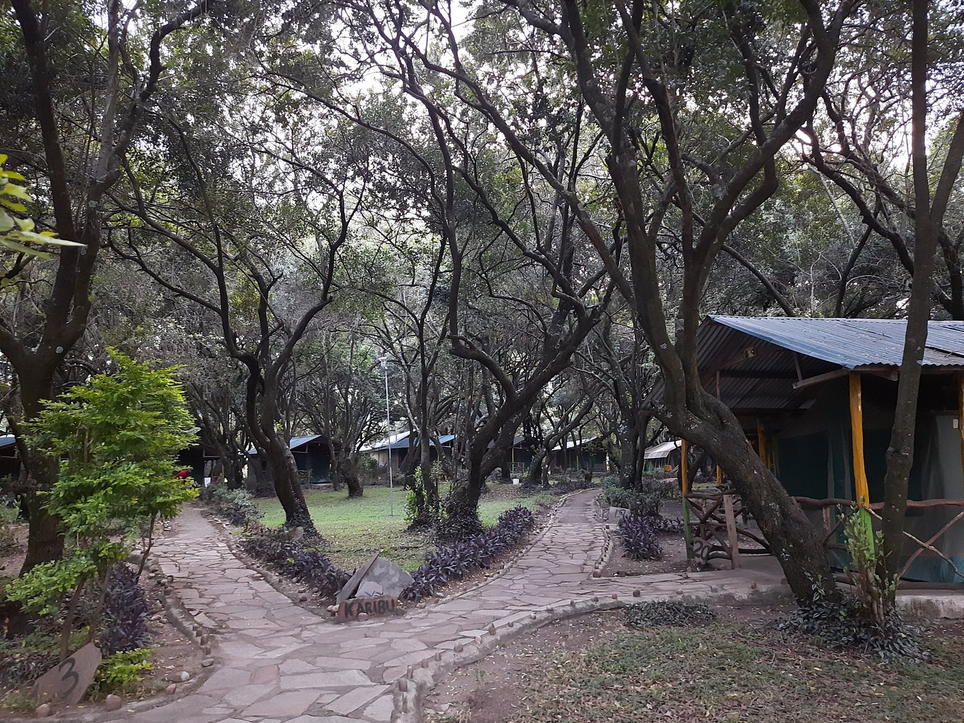 Olailepo Mara Camp