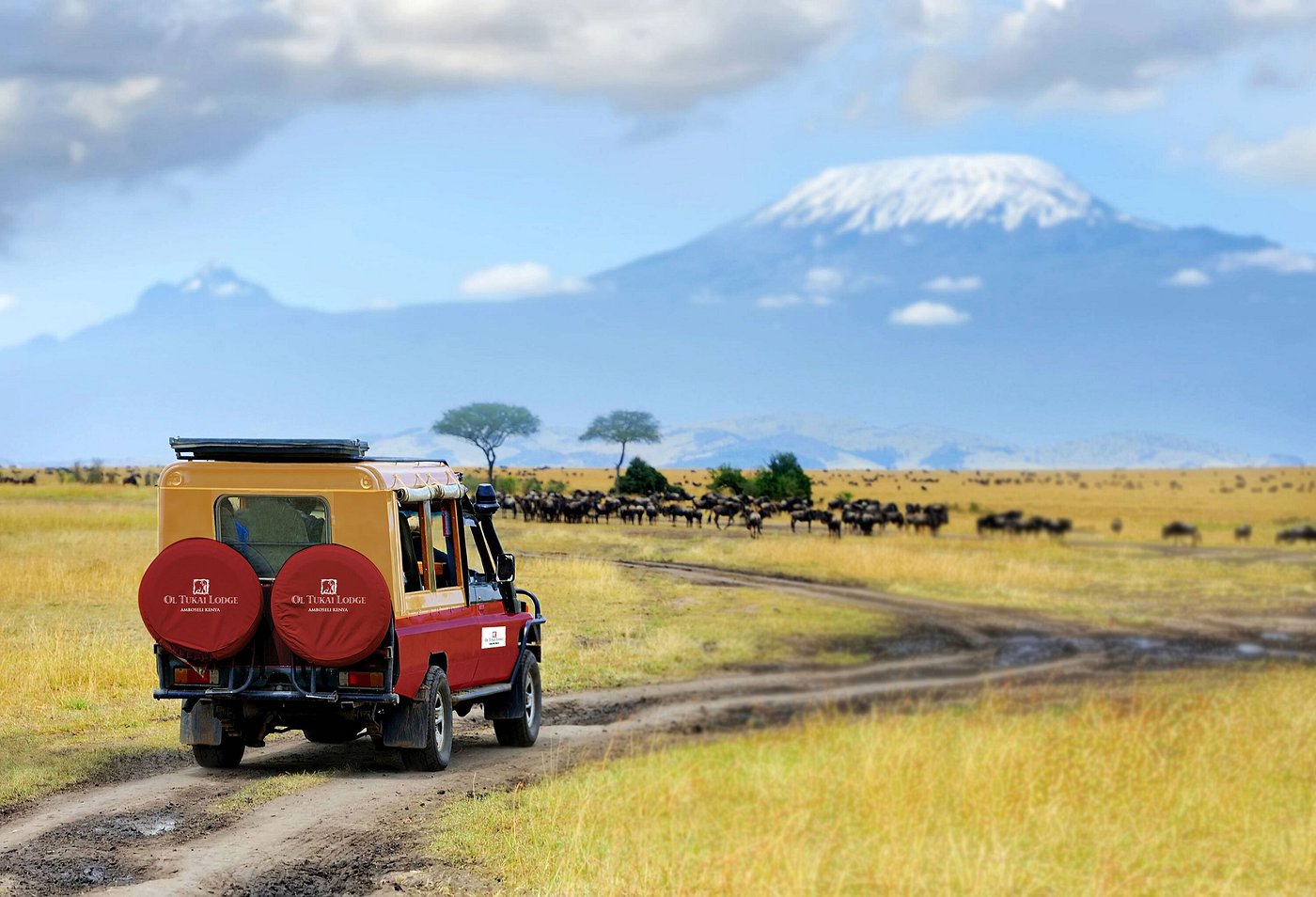 Ol Tukai Lodge Amboseli image 3