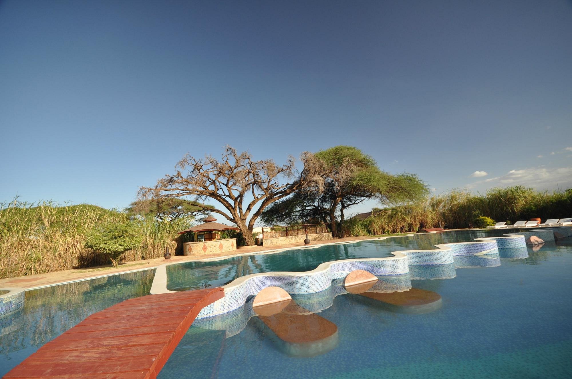 Kilima Safari Camp image 1