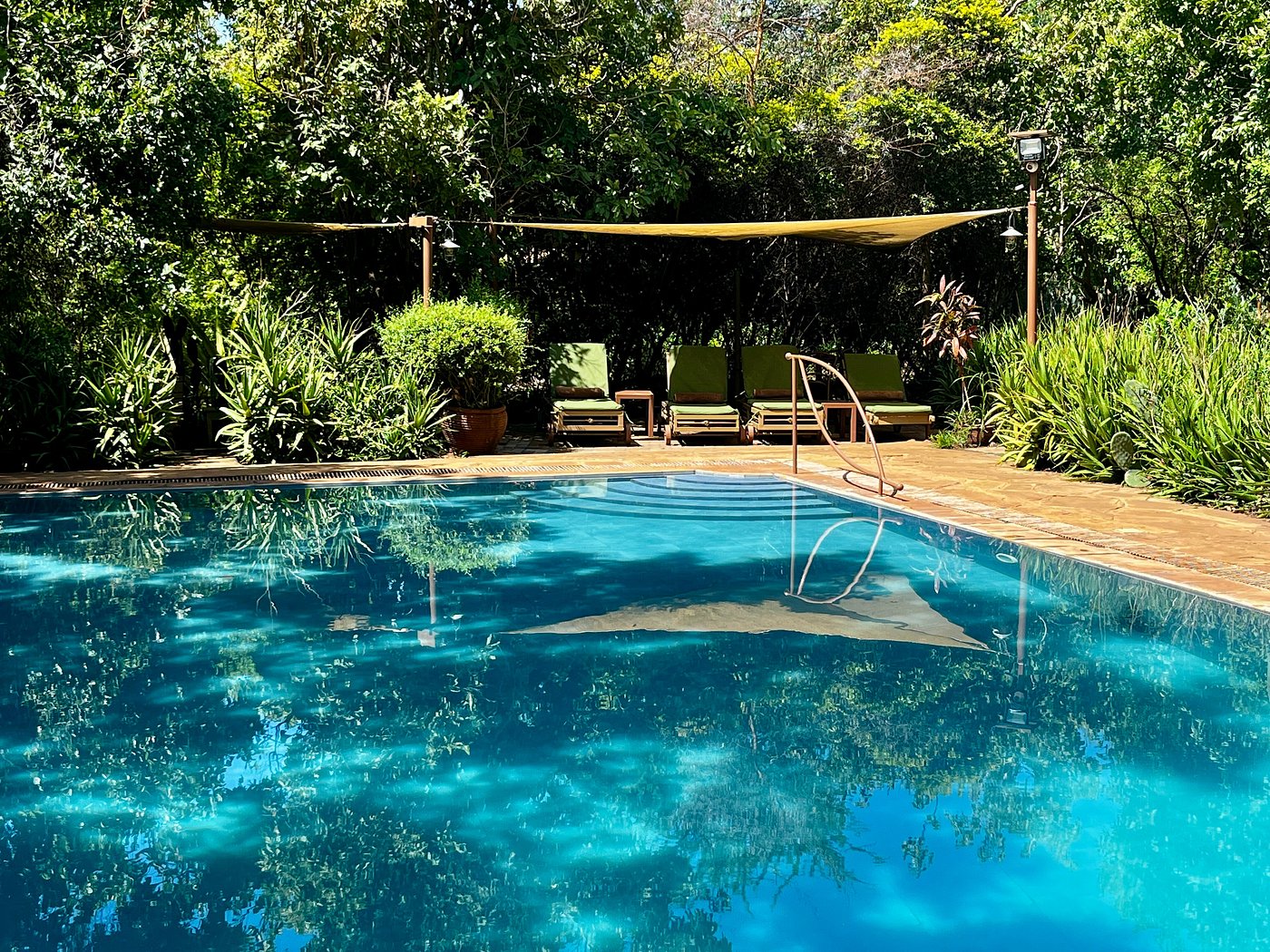 iKWETA Safari Camp image 1