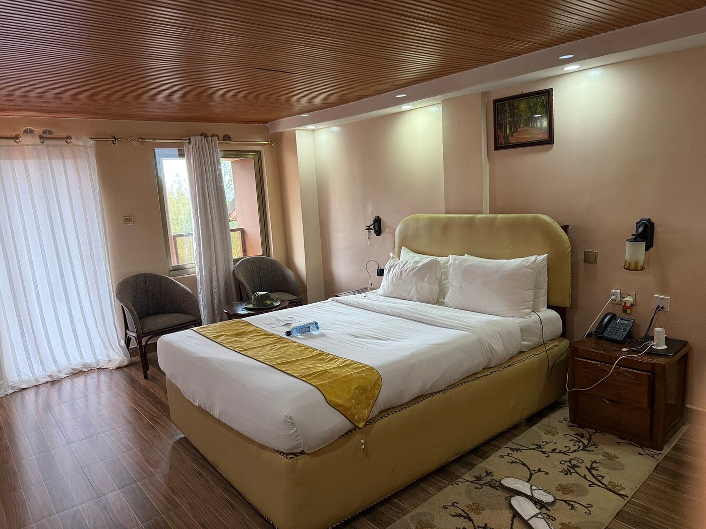 Panorama Park Hotel image 1