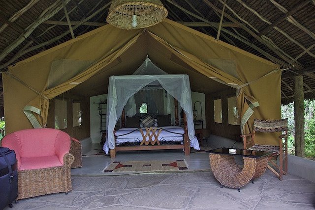 Flamingo Hill Tented Camp image 2