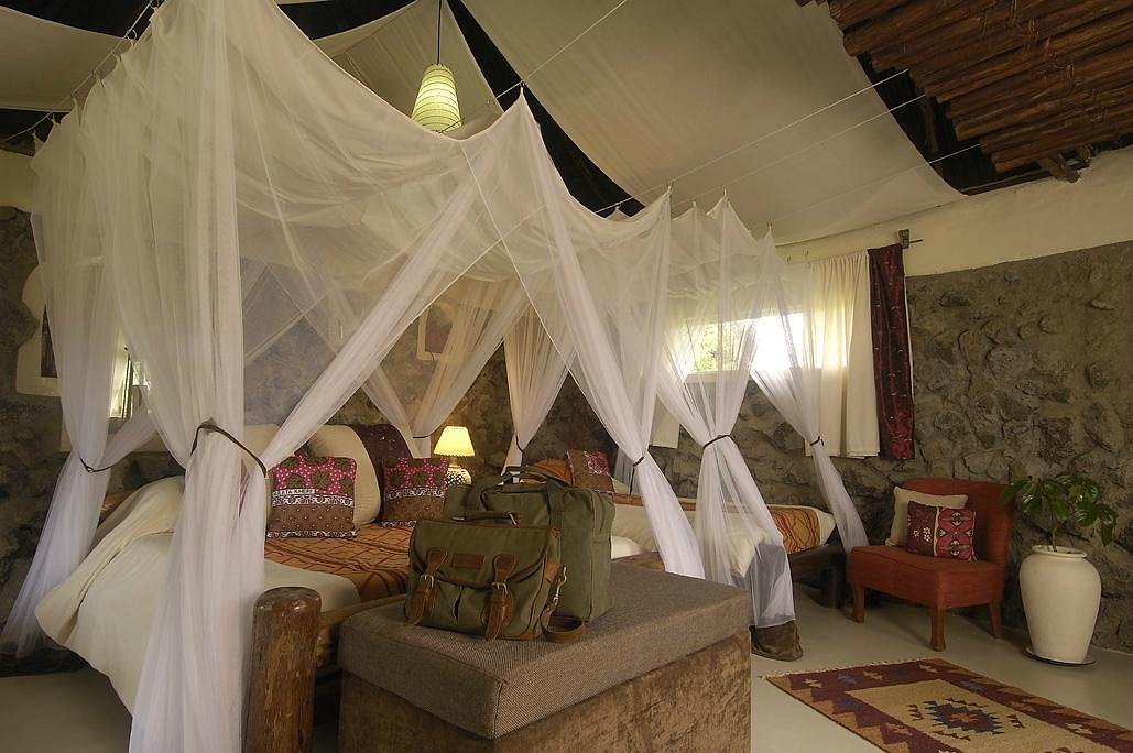 Mbweha Camp image 1