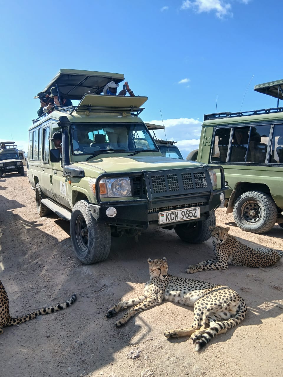 Safari Shompole (7 Days) photo 4