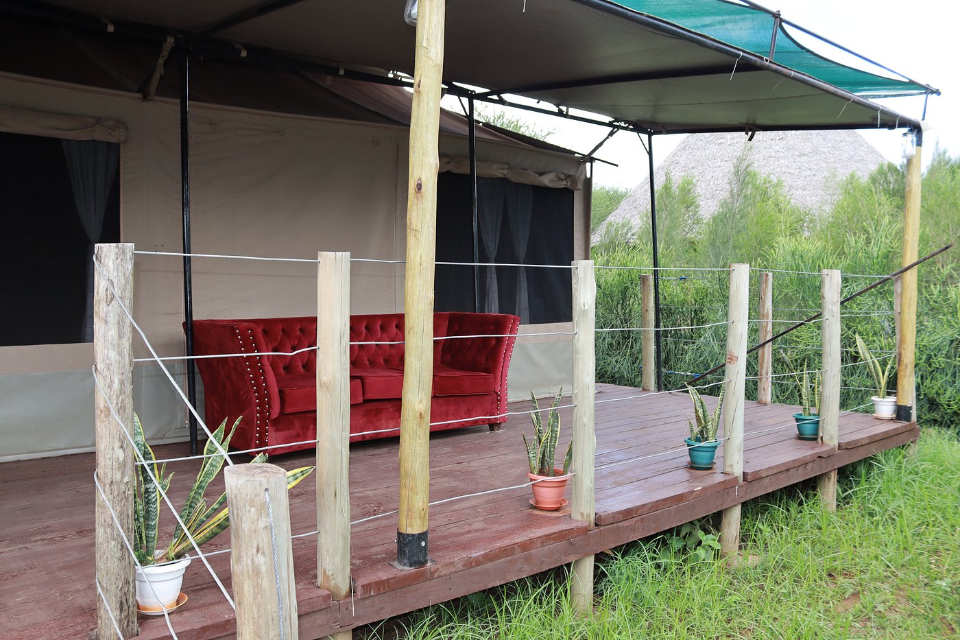 Sungura Safari Camp image 1