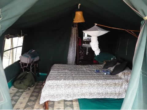 Patterson's Camp image 3
