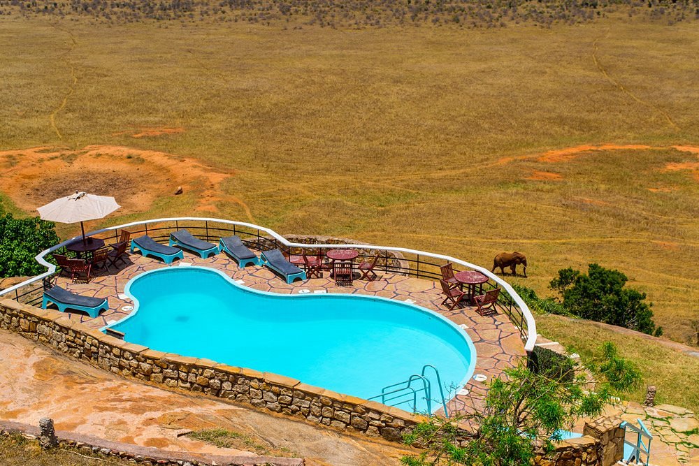 Voi Safari Lodge image 2