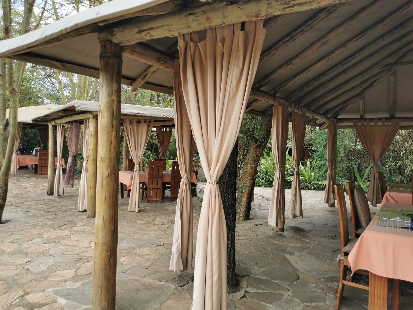 Aruba Mara Camp image 3