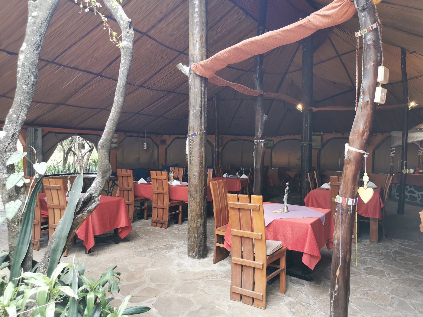 Aruba Mara Camp image 2