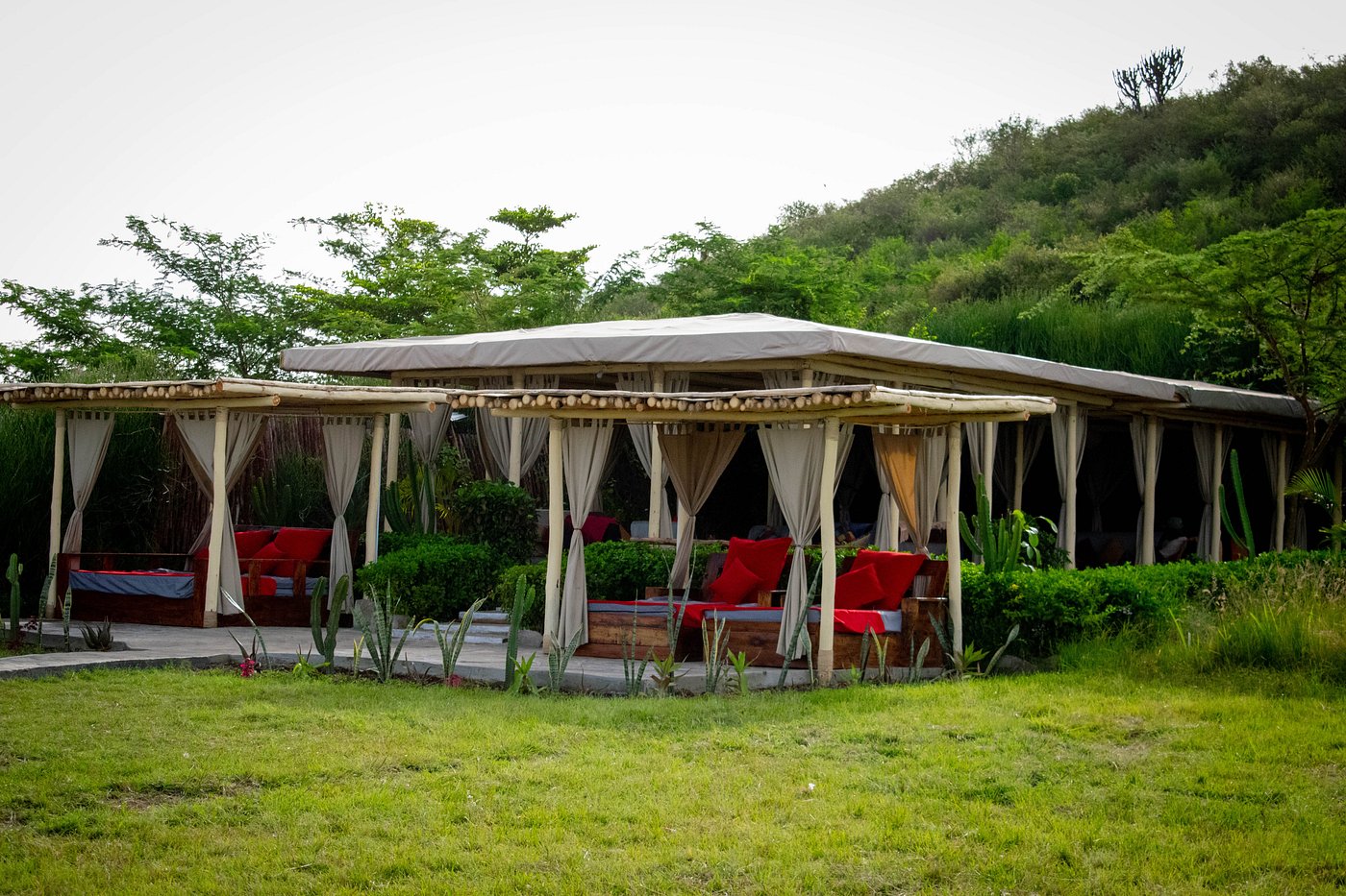 Zebra Plains River Camp